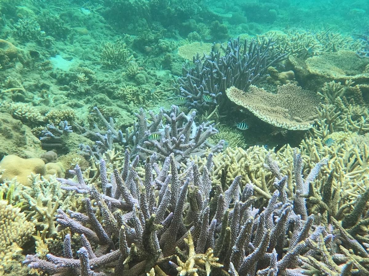 Tammoyo Place Kudat Zewnętrze zdjęcie
